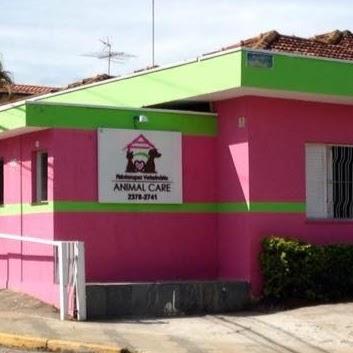 Fisioterapia Veterinária Animal Care