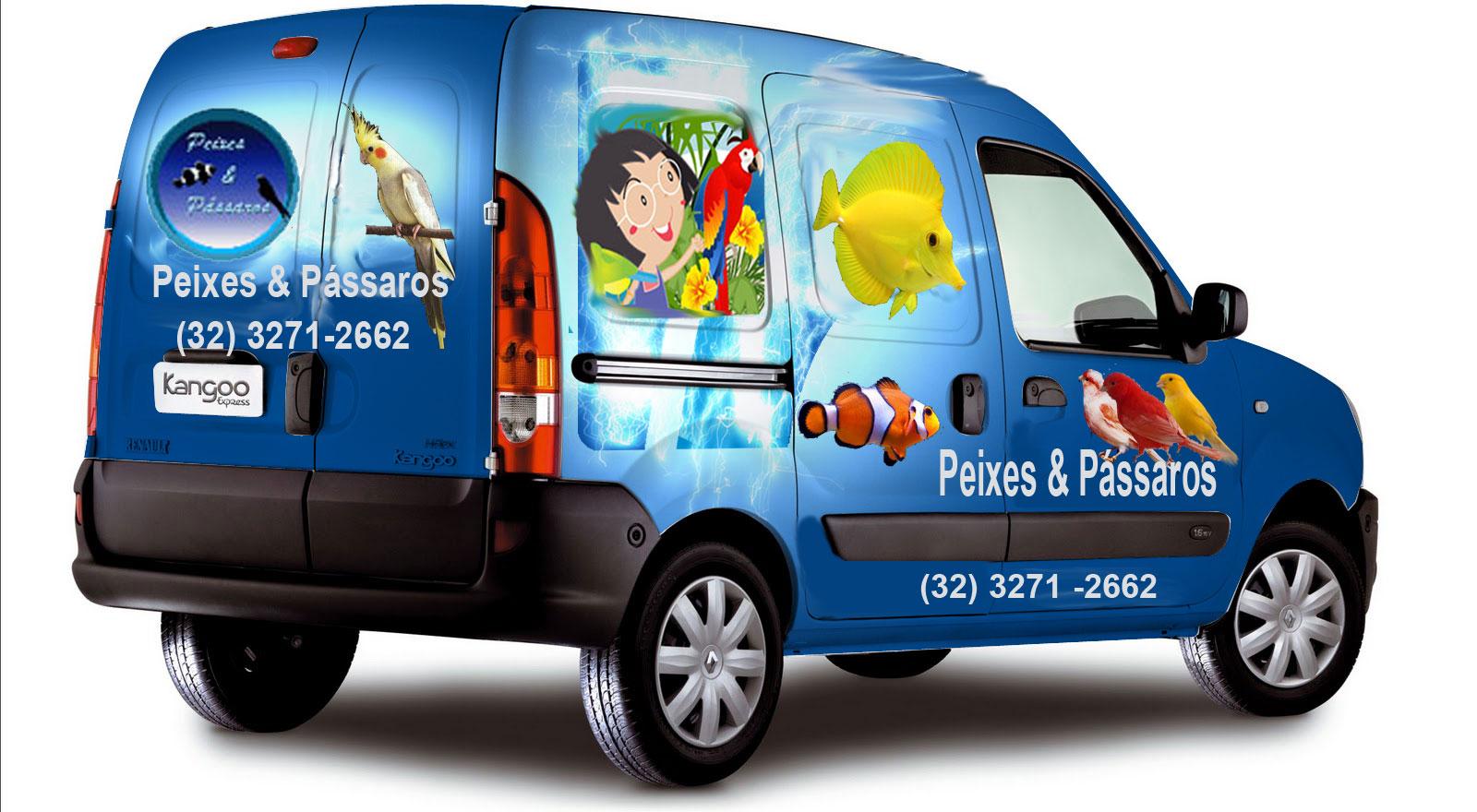 Loja Peixes & Pássaros - Foto 3