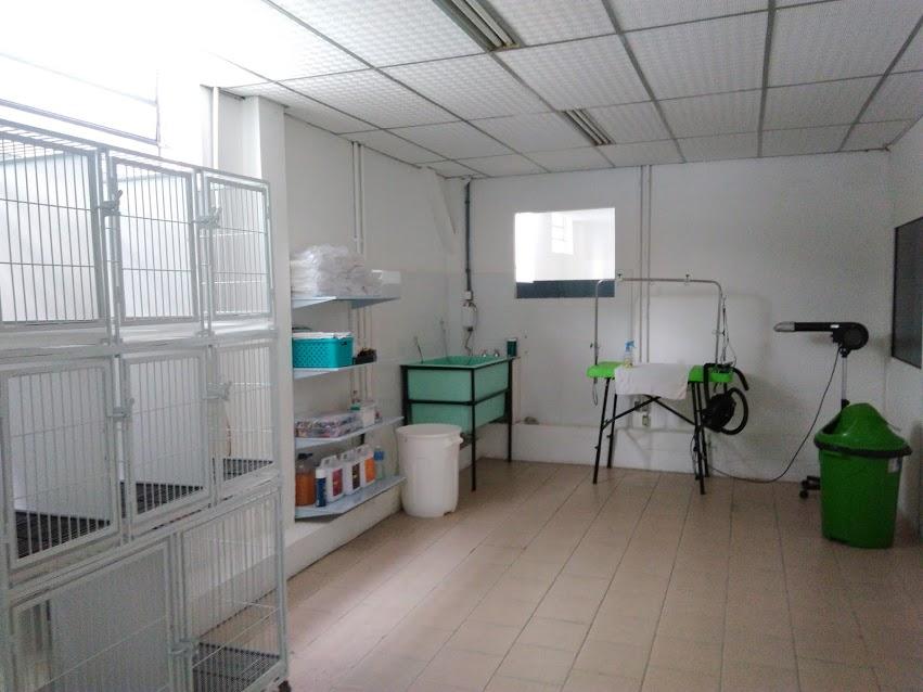 Pet Center Blumenau