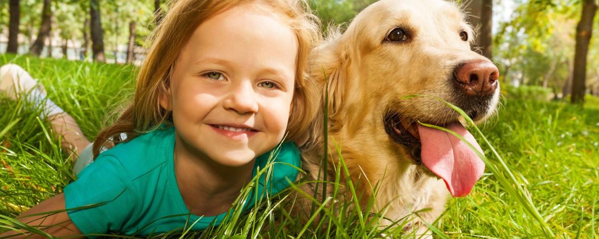 Prontovet Veterinary Clinic