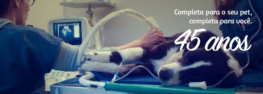 Clínica Veterinária Petrópolis - Foto 3