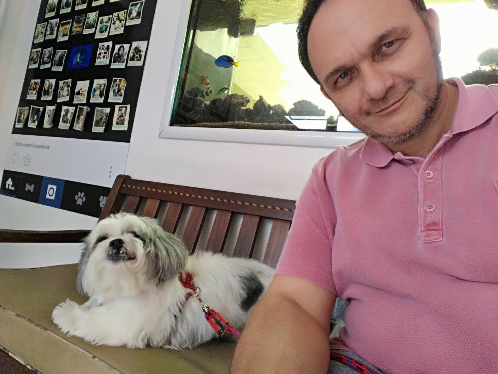 Clínica Veterinária Petrópolis - Foto 4