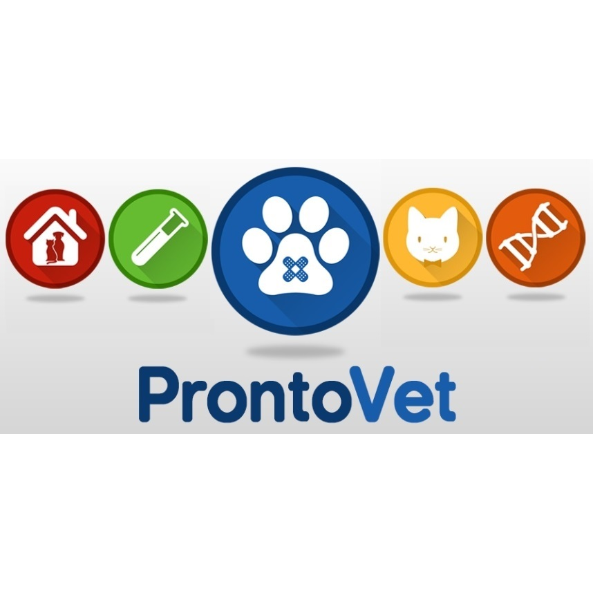 Pronto Vet Clínica Veterinária - Foto 5