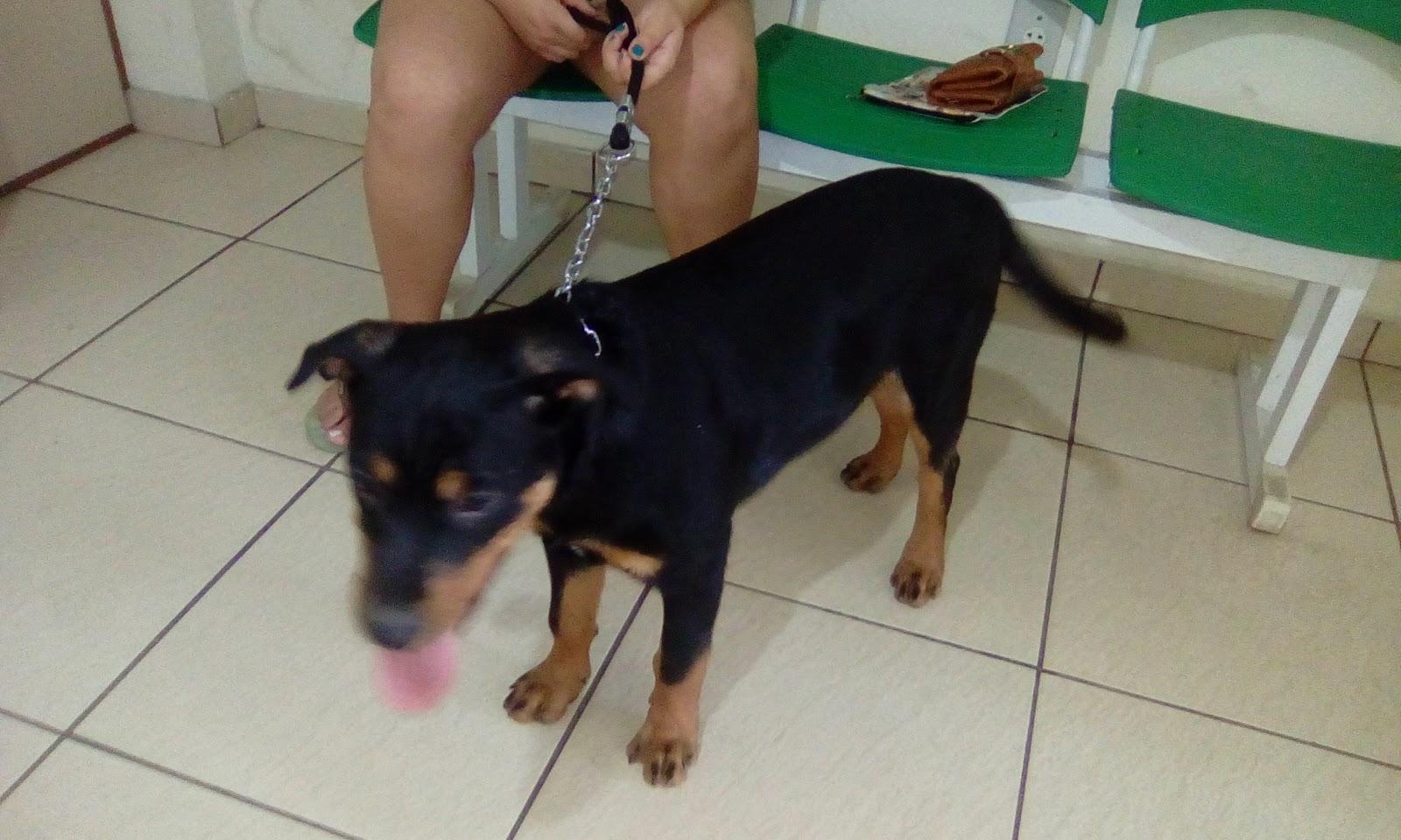 Dr. Alexandre Guerra