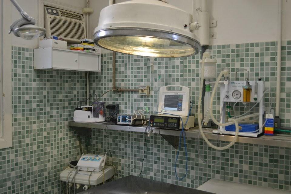 clinica veterinaria e o bicho bingen ortopedia - Foto 4