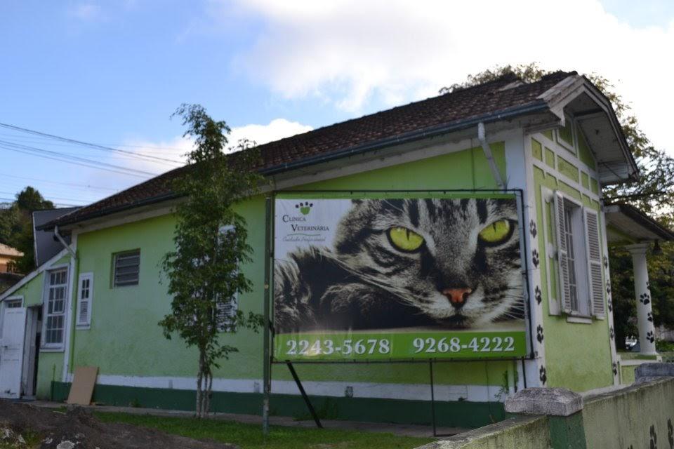 clinica veterinaria e o bicho bingen ortopedia - Foto 2