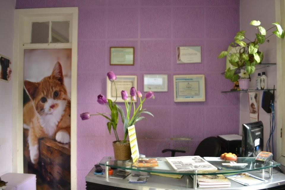 clinica veterinaria e o bicho bingen ortopedia - Foto 3