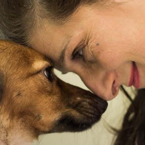 Clínica Veterinária Empório de Bicho