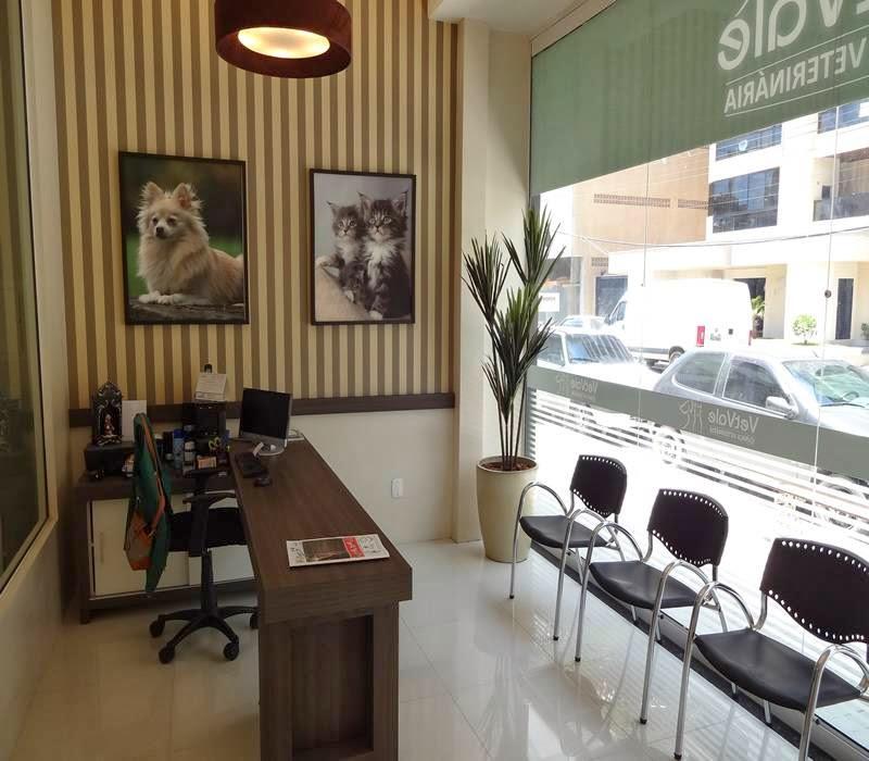 Vet Vale Clinica Veterinaria