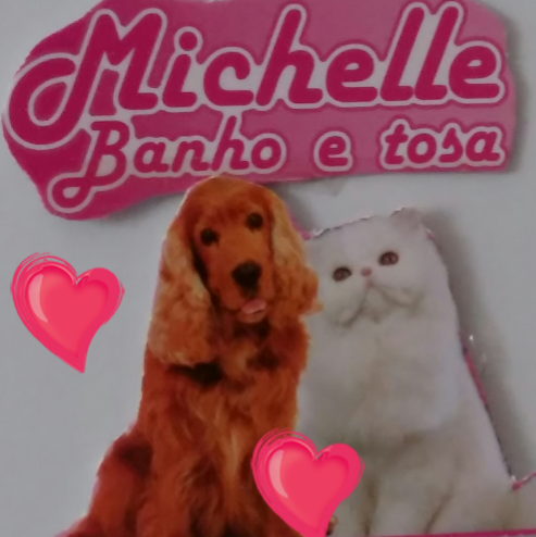 Michelle Banho E Tosa - Foto 3