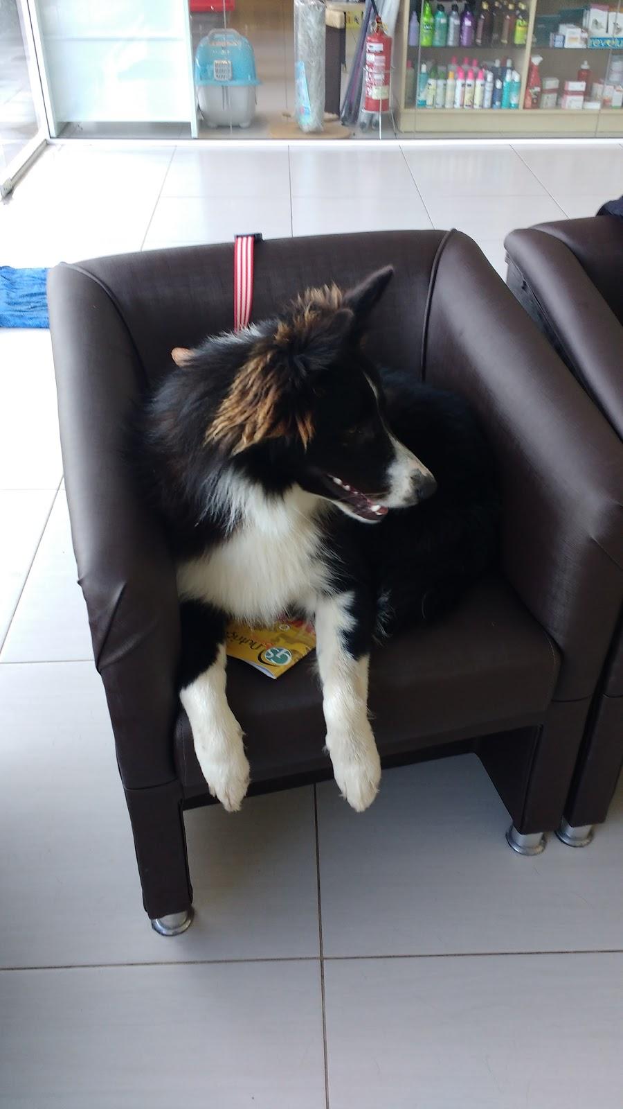 Vetcenter Clínica Veterinária