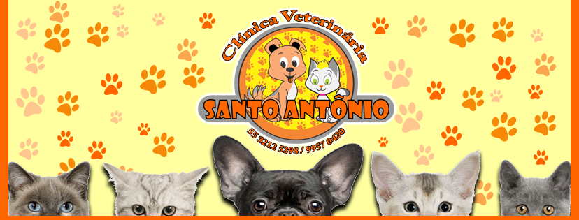 Clínica Veterinária Santo Antônio