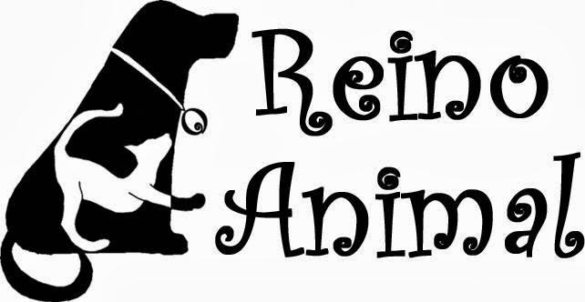 Clínica Veterinária Reino Animal