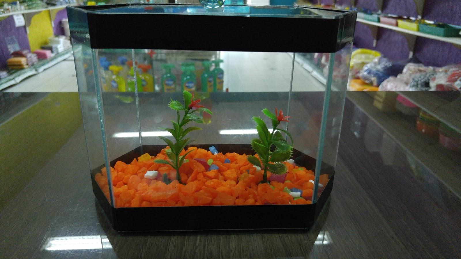 AQUA PET SHOP