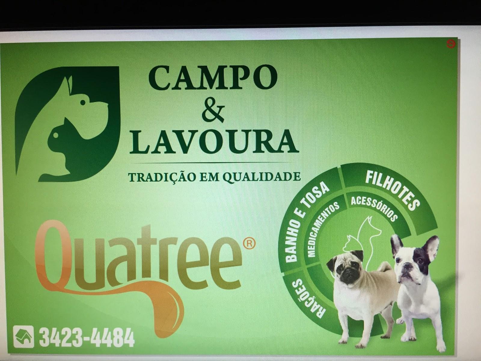 Campo e Lavoura - Foto 5