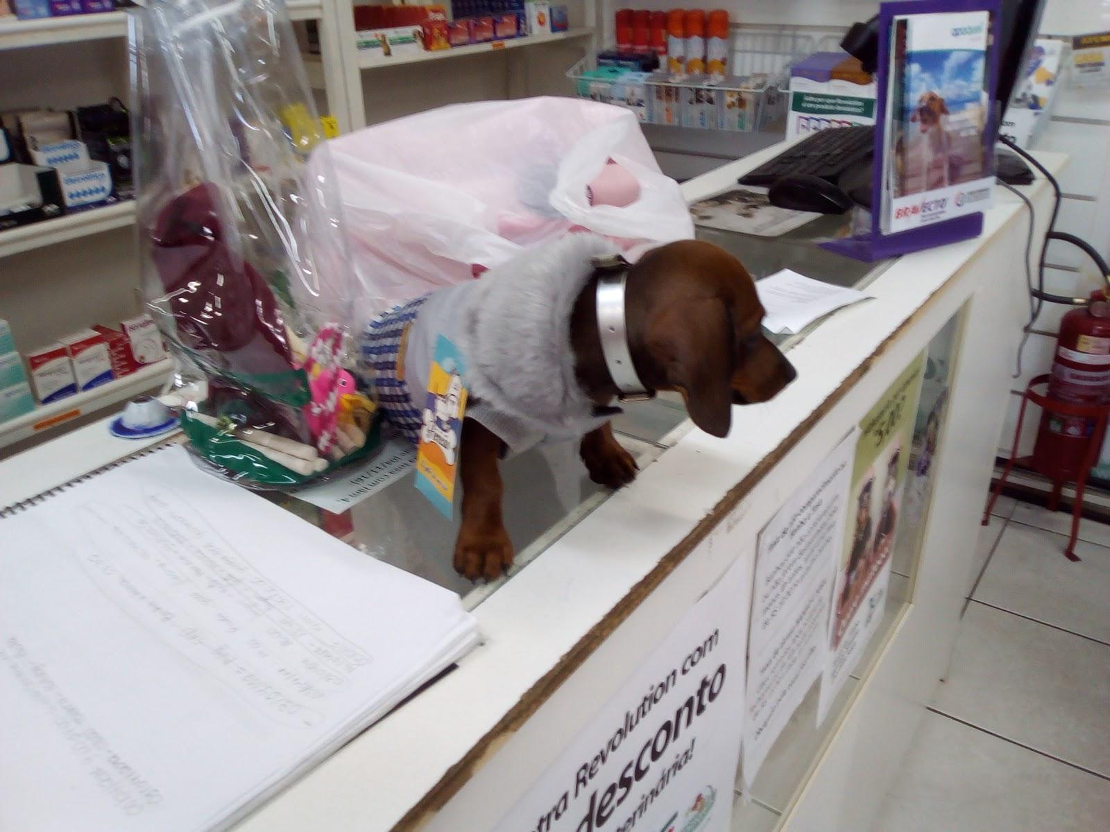 Wazlawik Veterinária