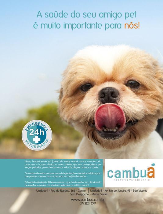 Hospital Veterinario Cambuá 24 horas