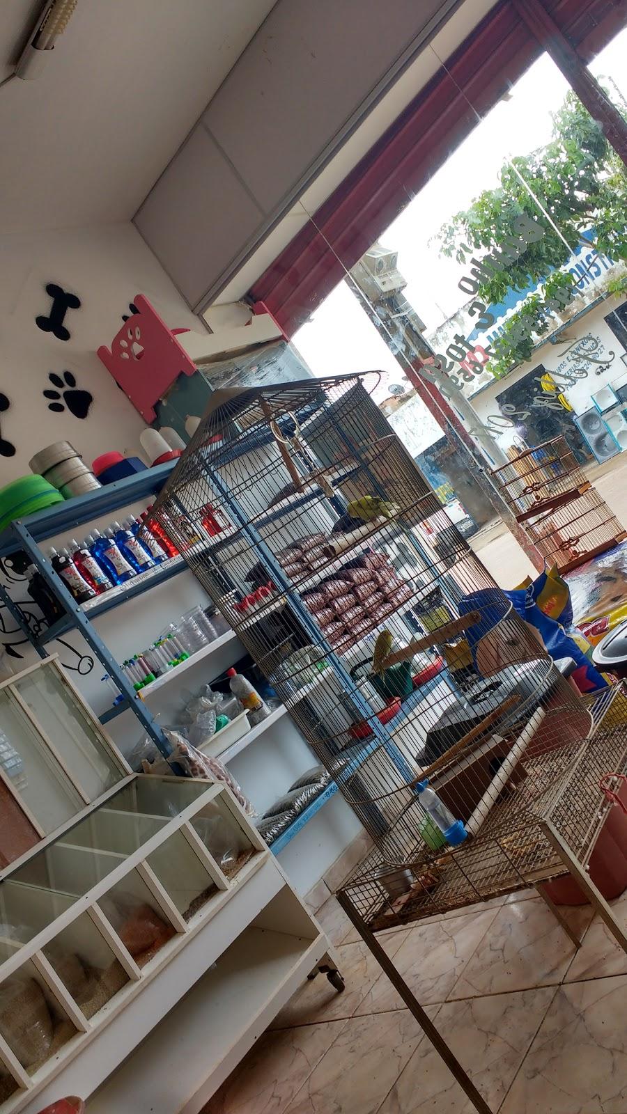 Pet Shop Animal World - Foto 3