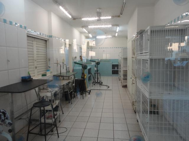 Chicao Pet Shop - Pet Shop em Ribeirão Preto