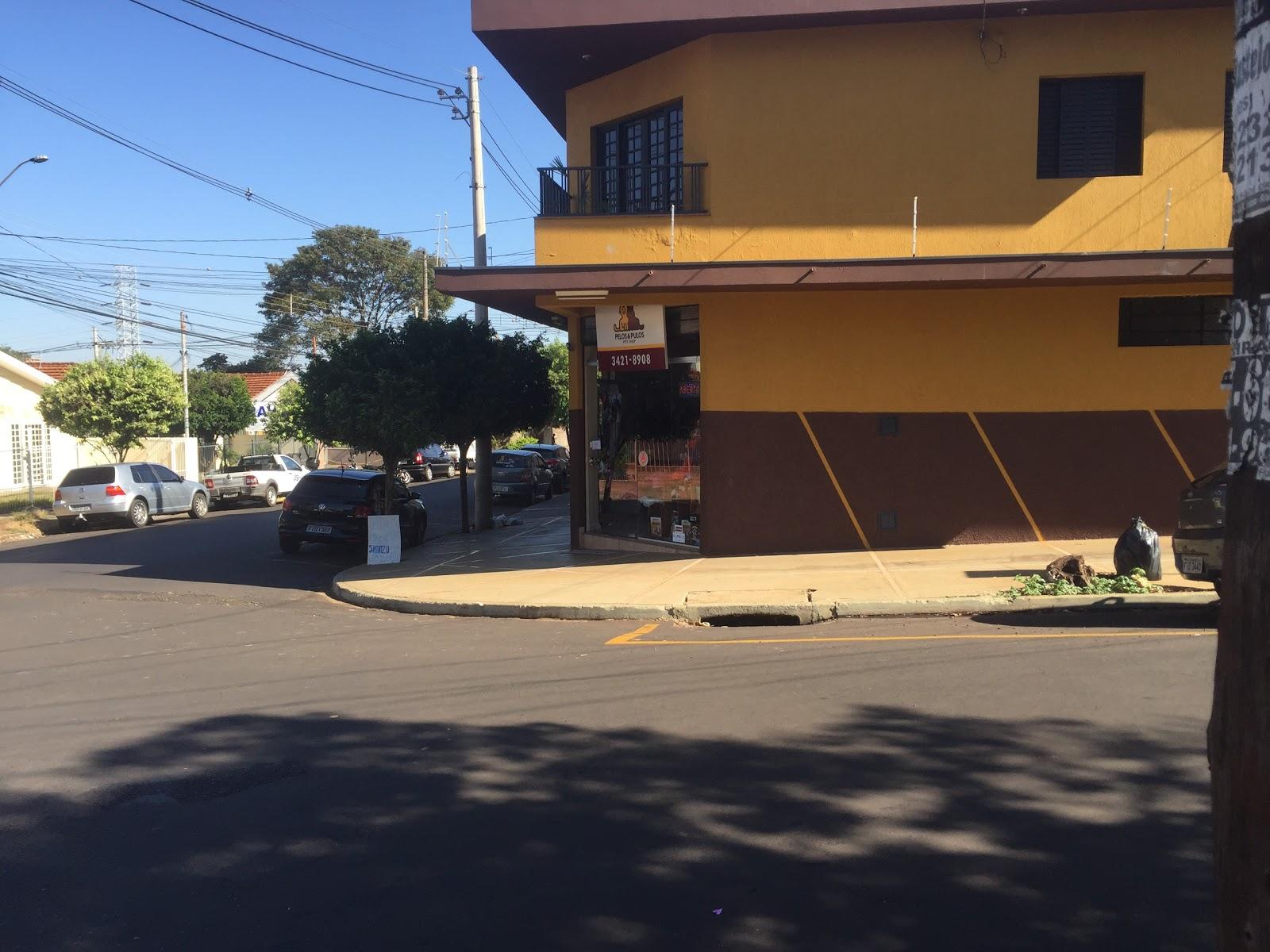 PELOS & PULOS PET SHOP - Foto 3