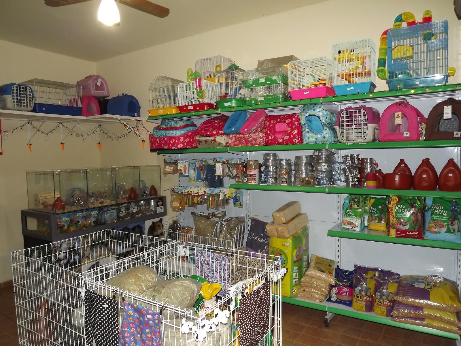 Coelhos Mini Ribeirão Preto - Foto 4