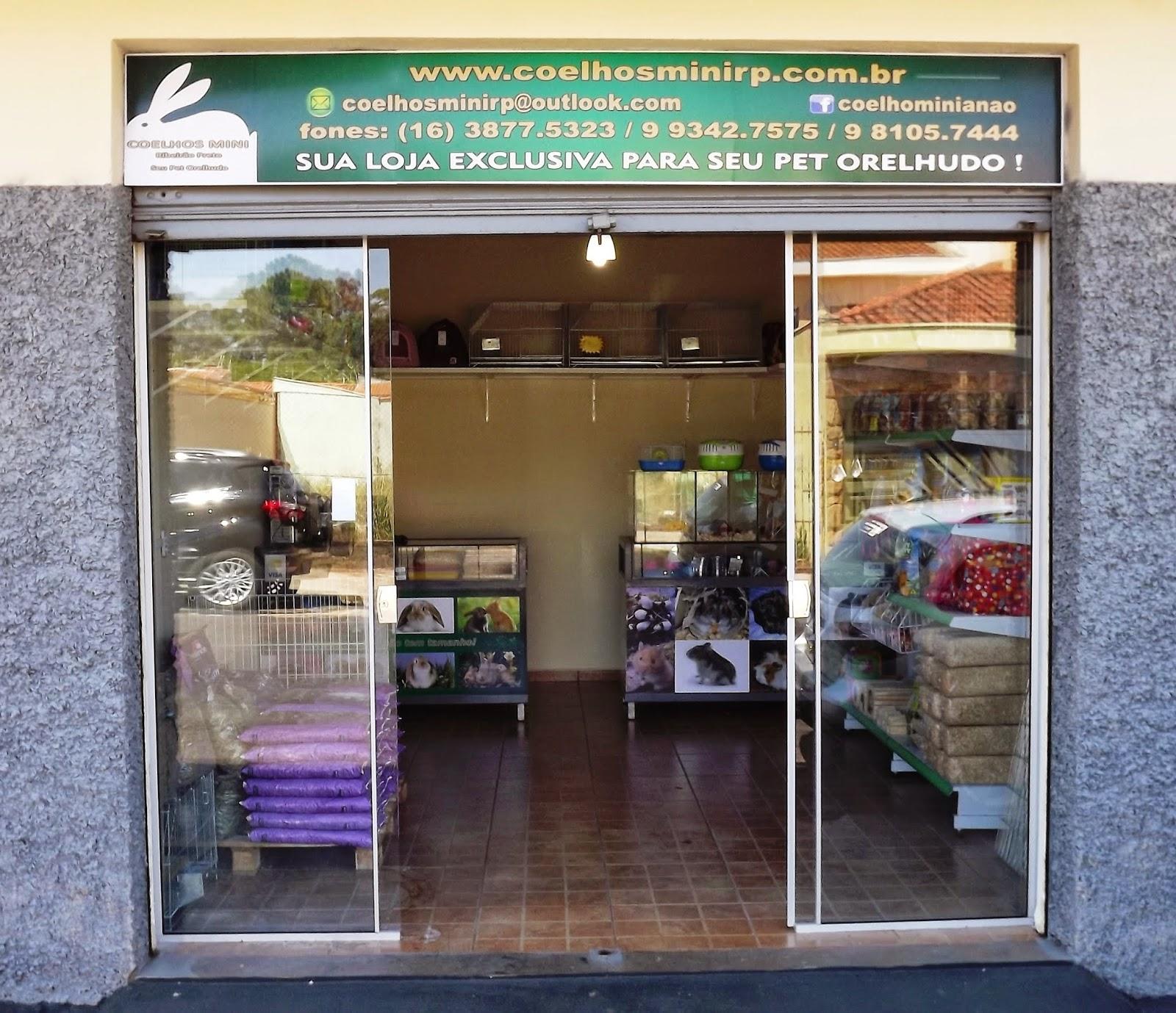 Coelhos Mini Ribeirão Preto - Foto 2