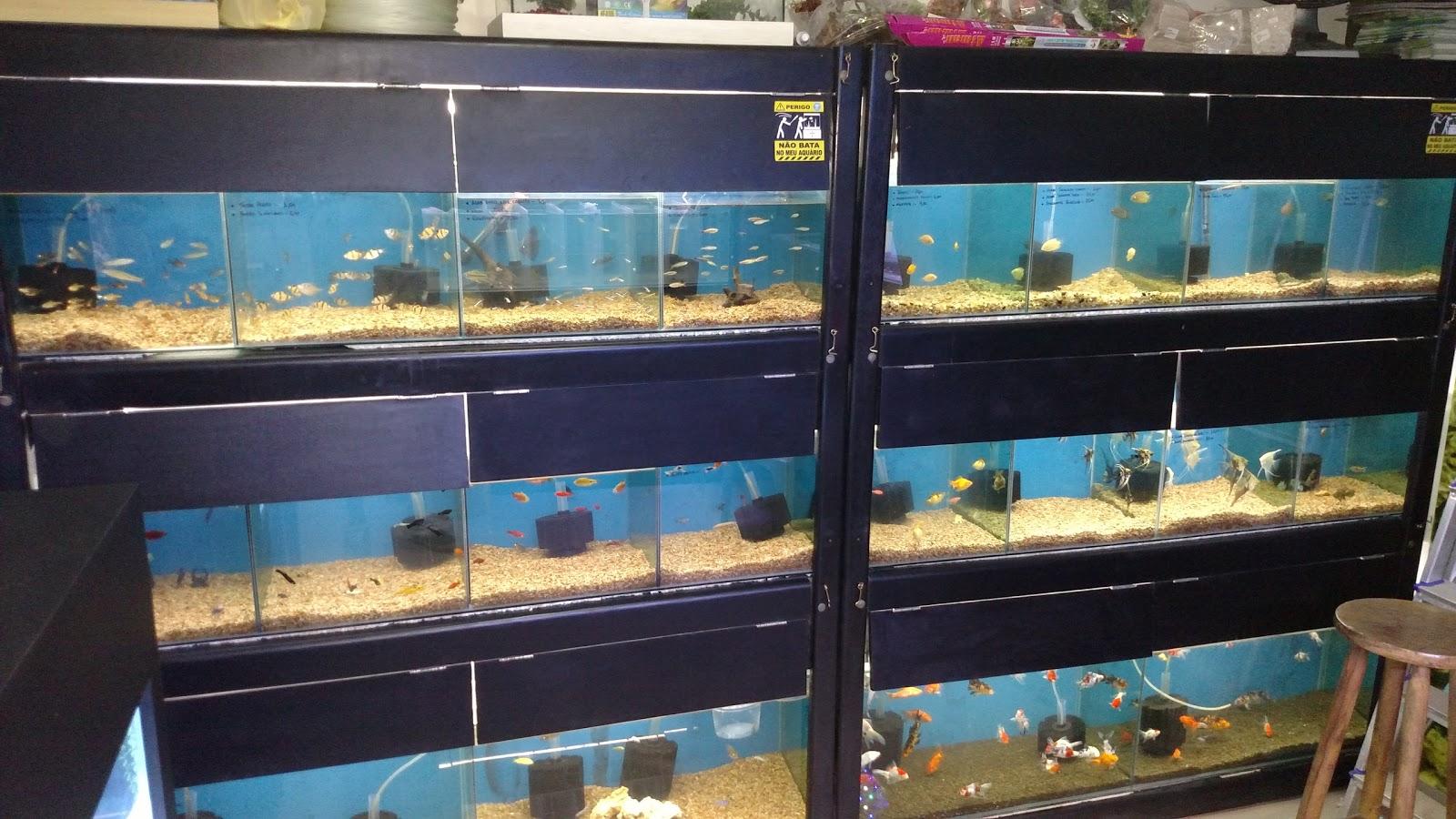 Água Viva Aquarismo