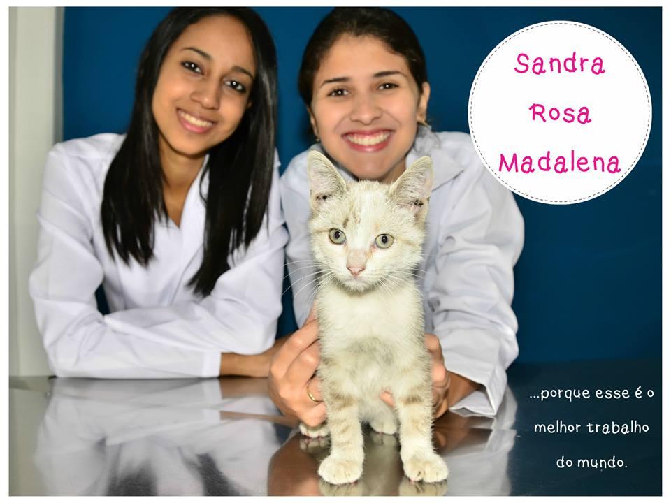 Veterinária Iguaçu VetCenter - Foto 2