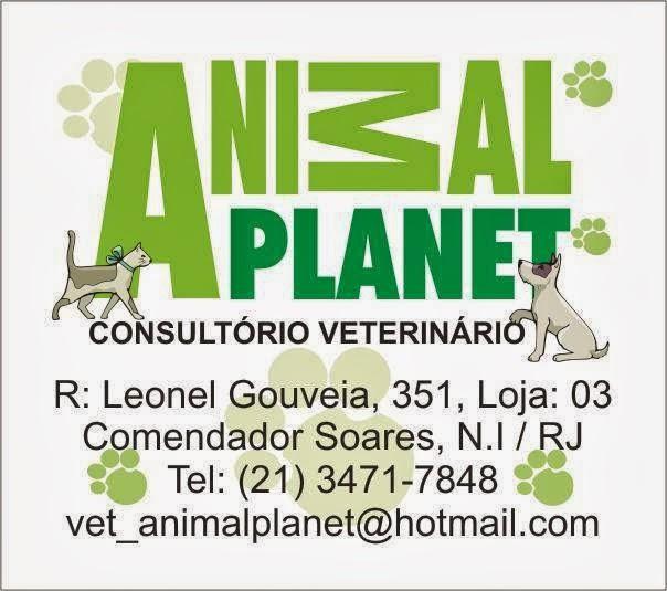 Animal Planet - Consultório Veterinário - Foto 5