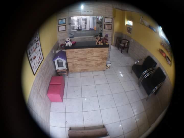 Meu Pet Estética Animal (Banho e Tosa)