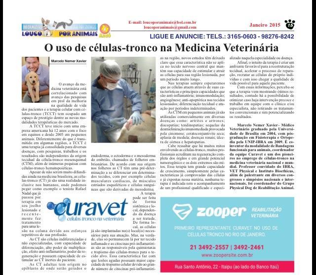 Zooper Reabilitação Veterinária - Foto 5