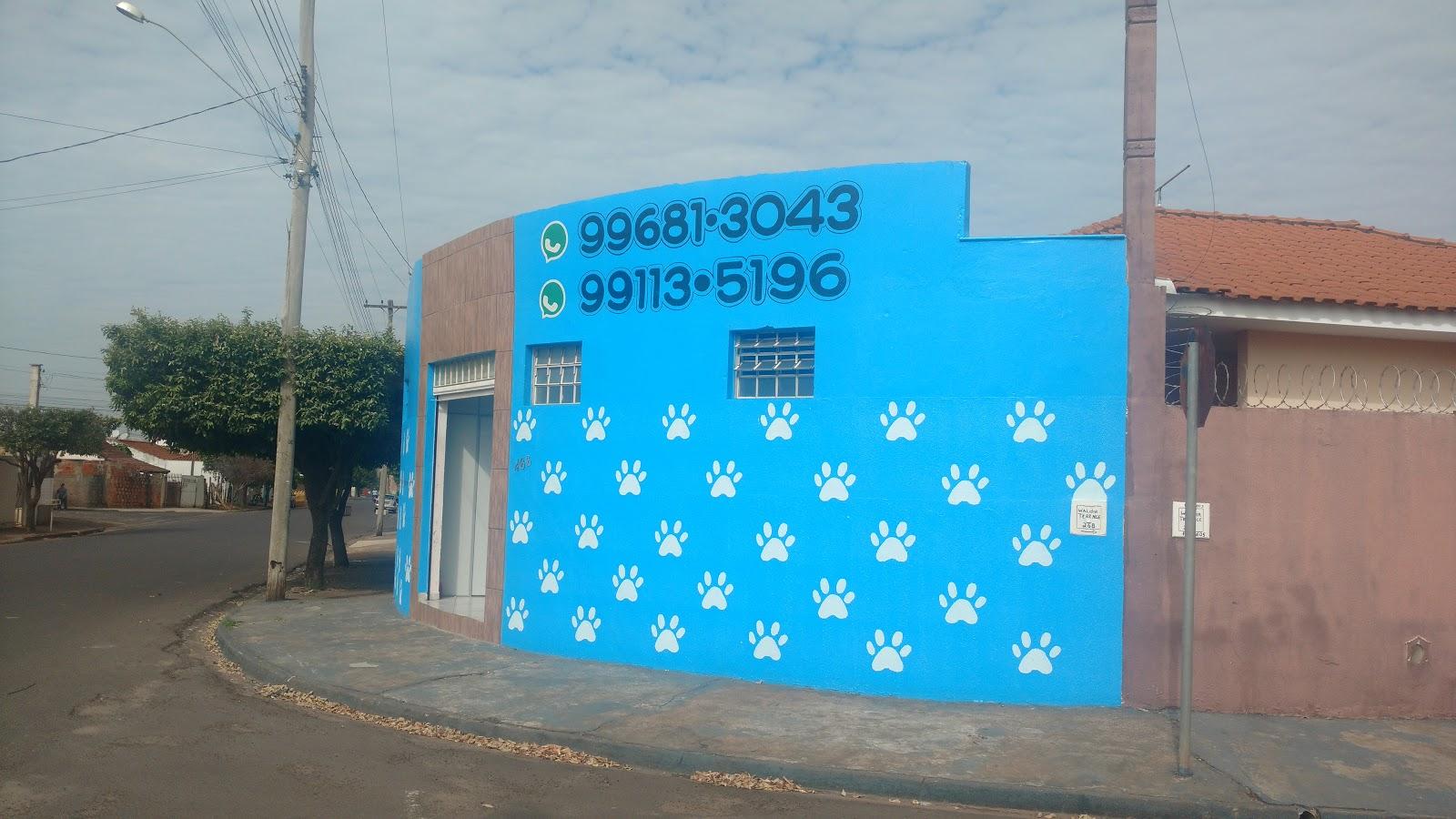 PetShop - Foto 2