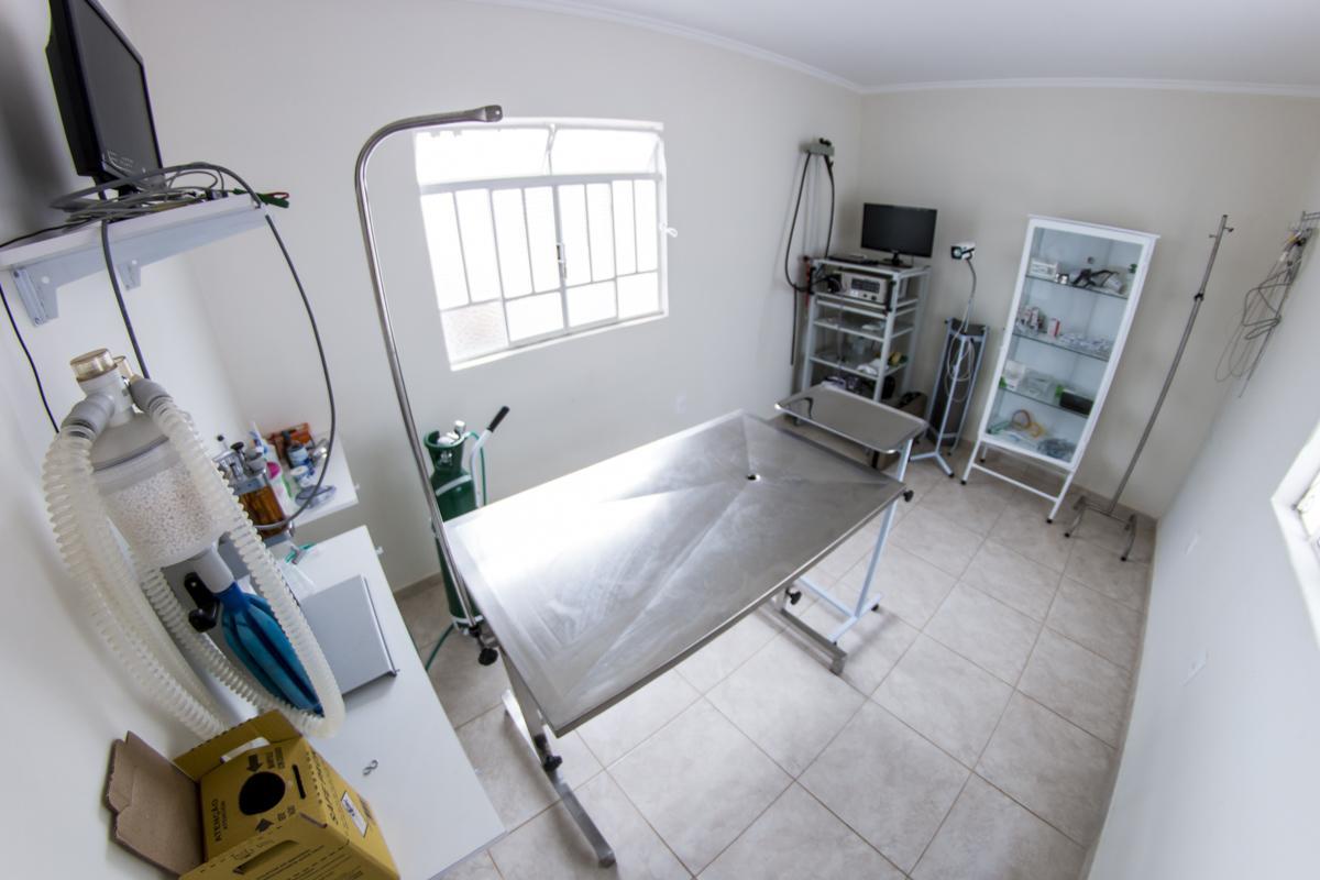 Clínica Veterinária Tau 24 horas