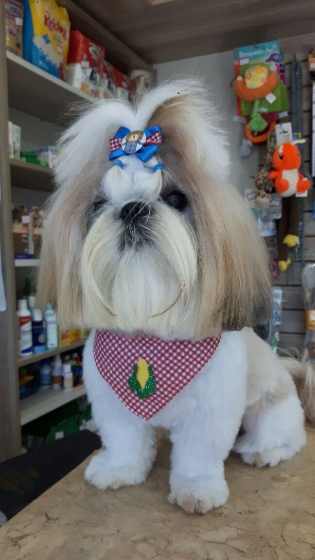 Mimapet - Foto 5