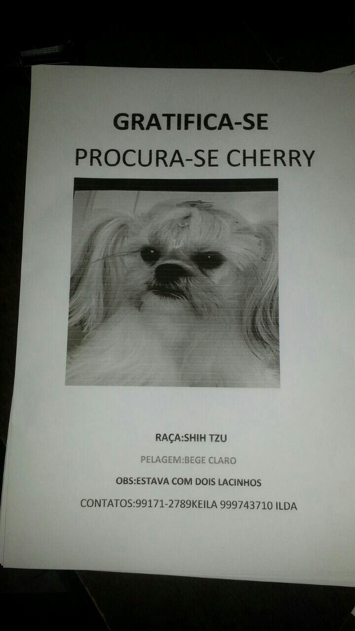 Pet Shop Barão - Foto 4