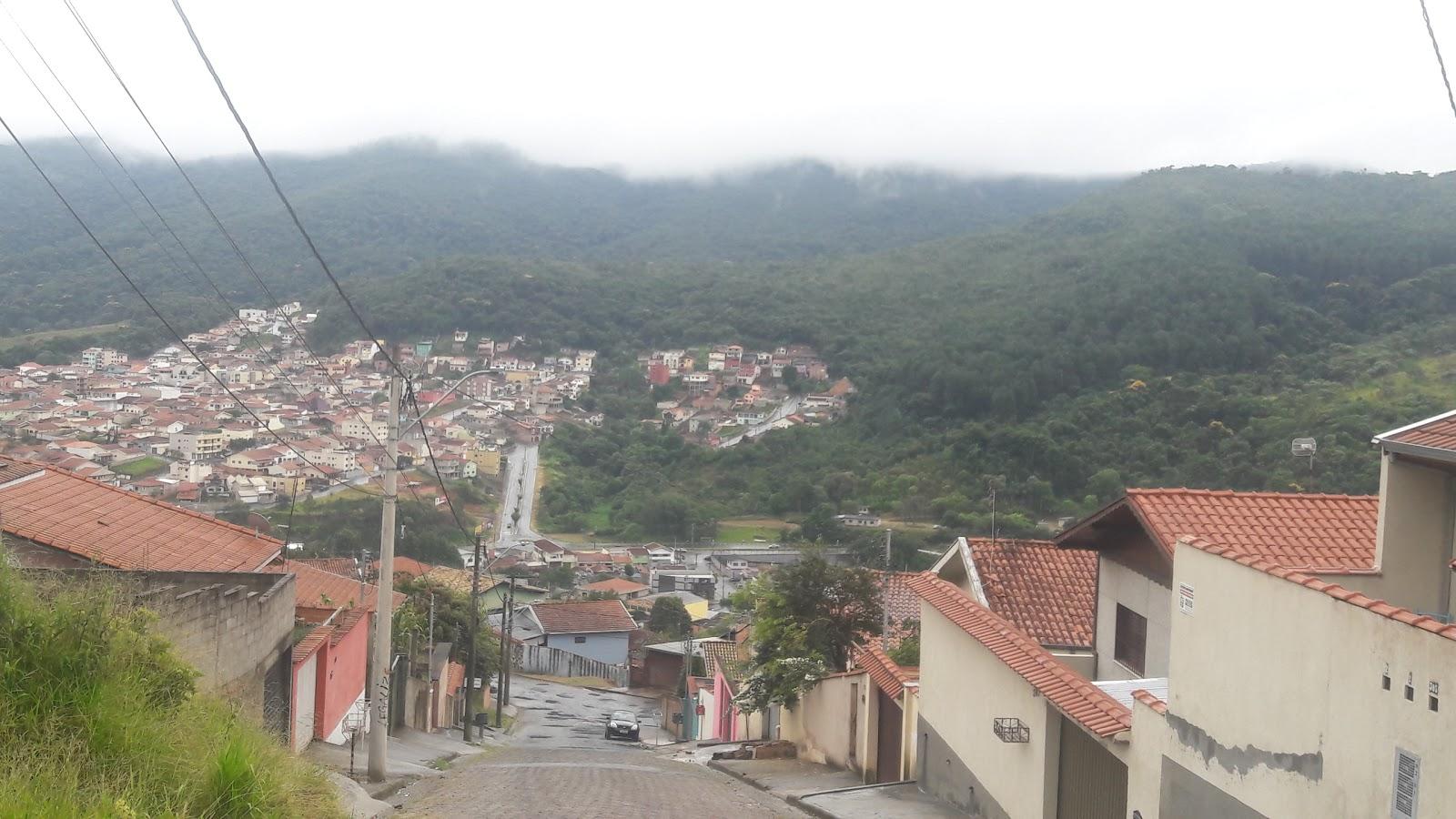 LovePets banho tosa e acessorios