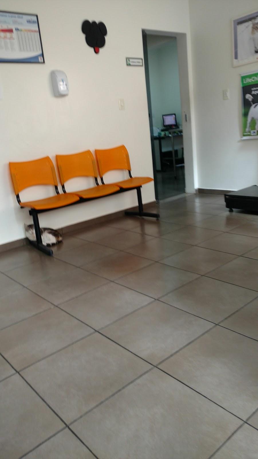 Clinica Veterinaria Mundo Animal - Caçapava