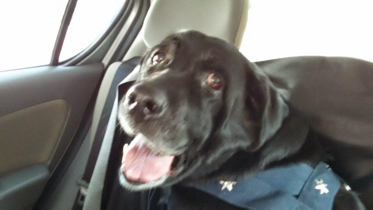 Veterinary clinic Sassaki