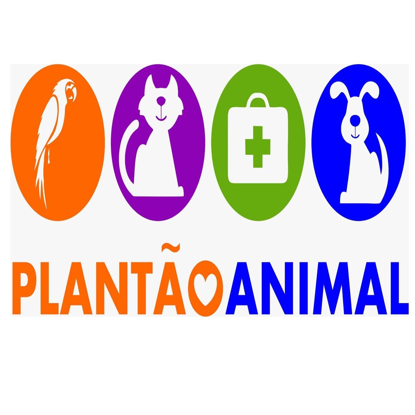 Clínica Veterinária Taubaté - Plantão Animal - Foto 5