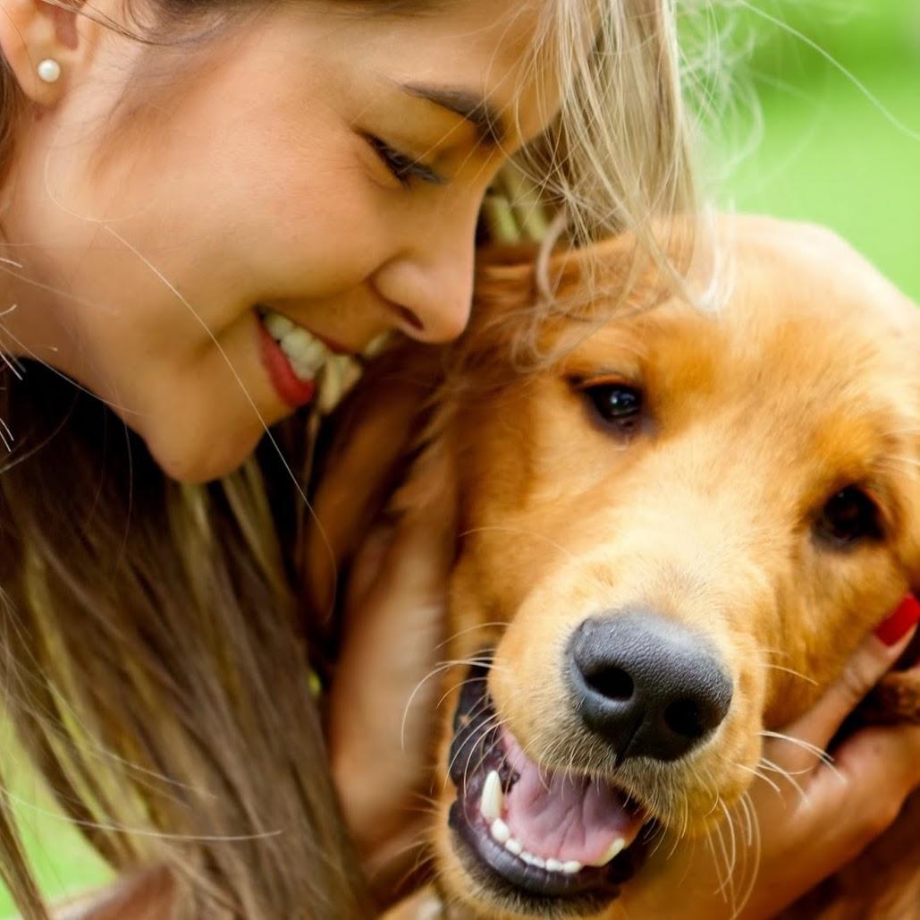 Vetclínica Pet Clínica Veterinária - Pet Shop em Jaru