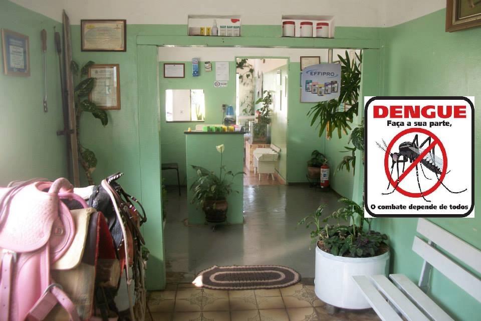 Clínica Veterinária Levy