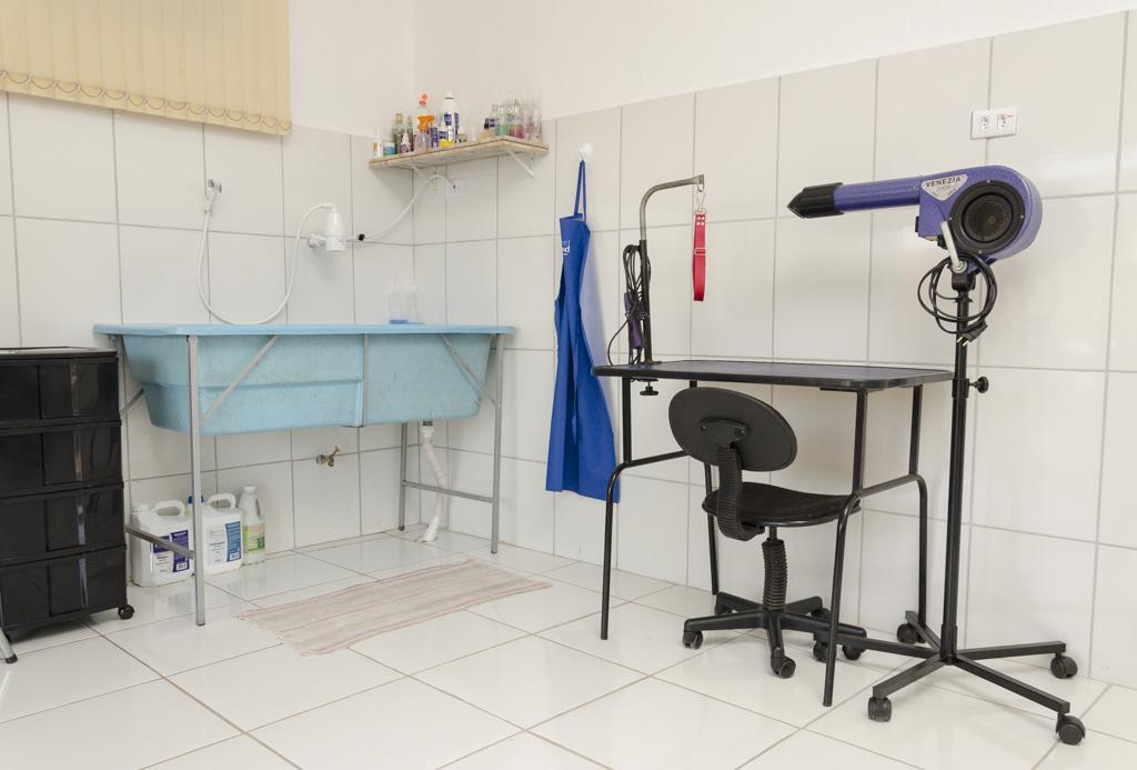 Studiopet Banho E Tosa