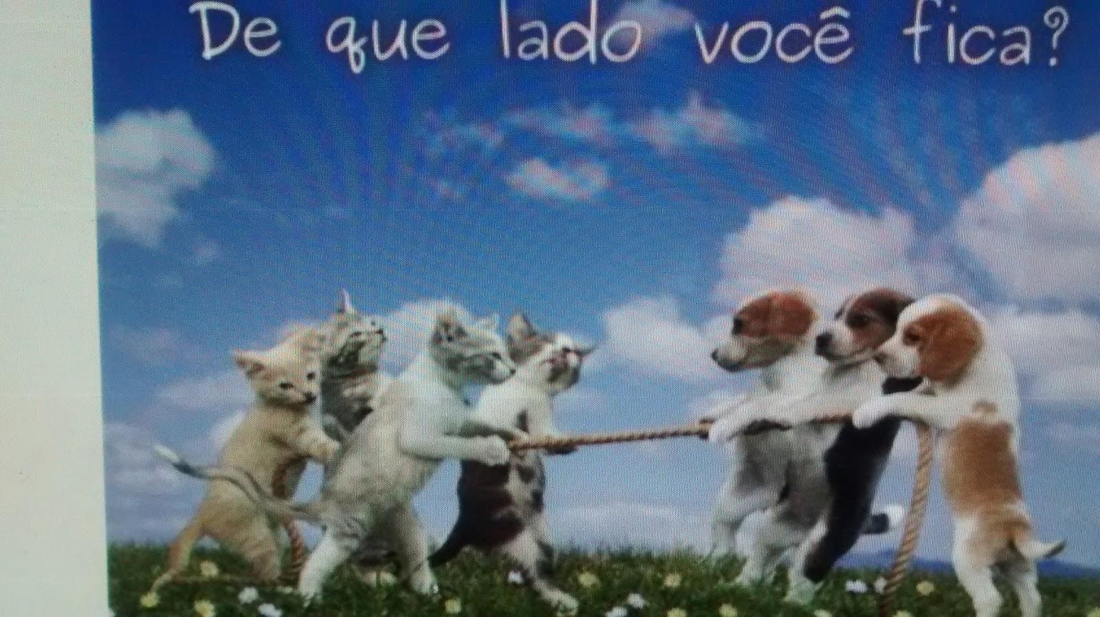 Nutri-Tudo AgroPet - Foto 3