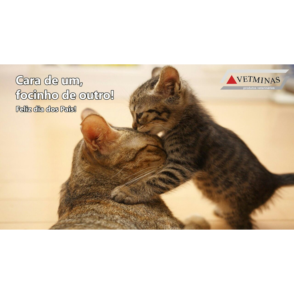 Nutri-Tudo AgroPet - Foto 4