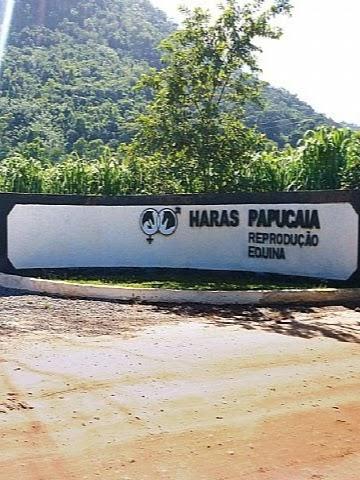 Haras Papucaia / Clínica de Reprodução Equina.