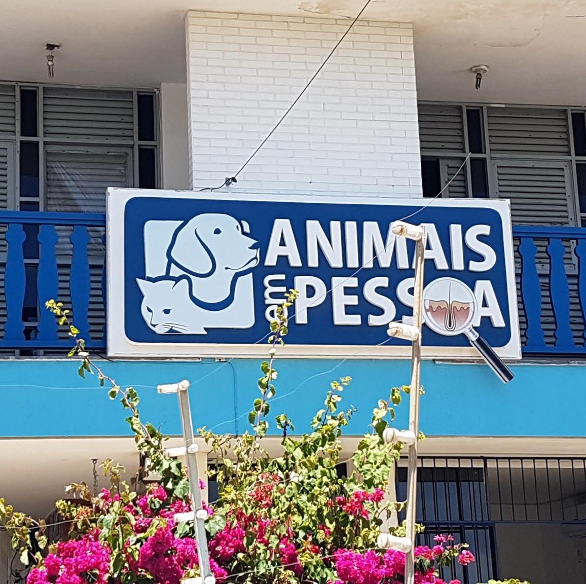Animais em Pessoa - Dermatologia Veterinária