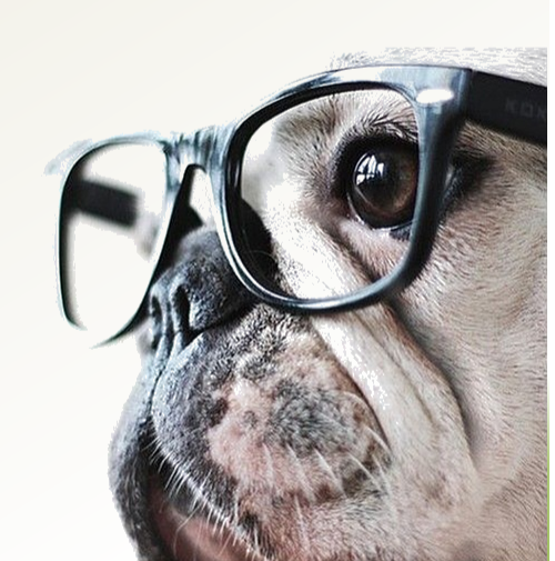 Oftalmologia Veterinária - OFTALMOVET