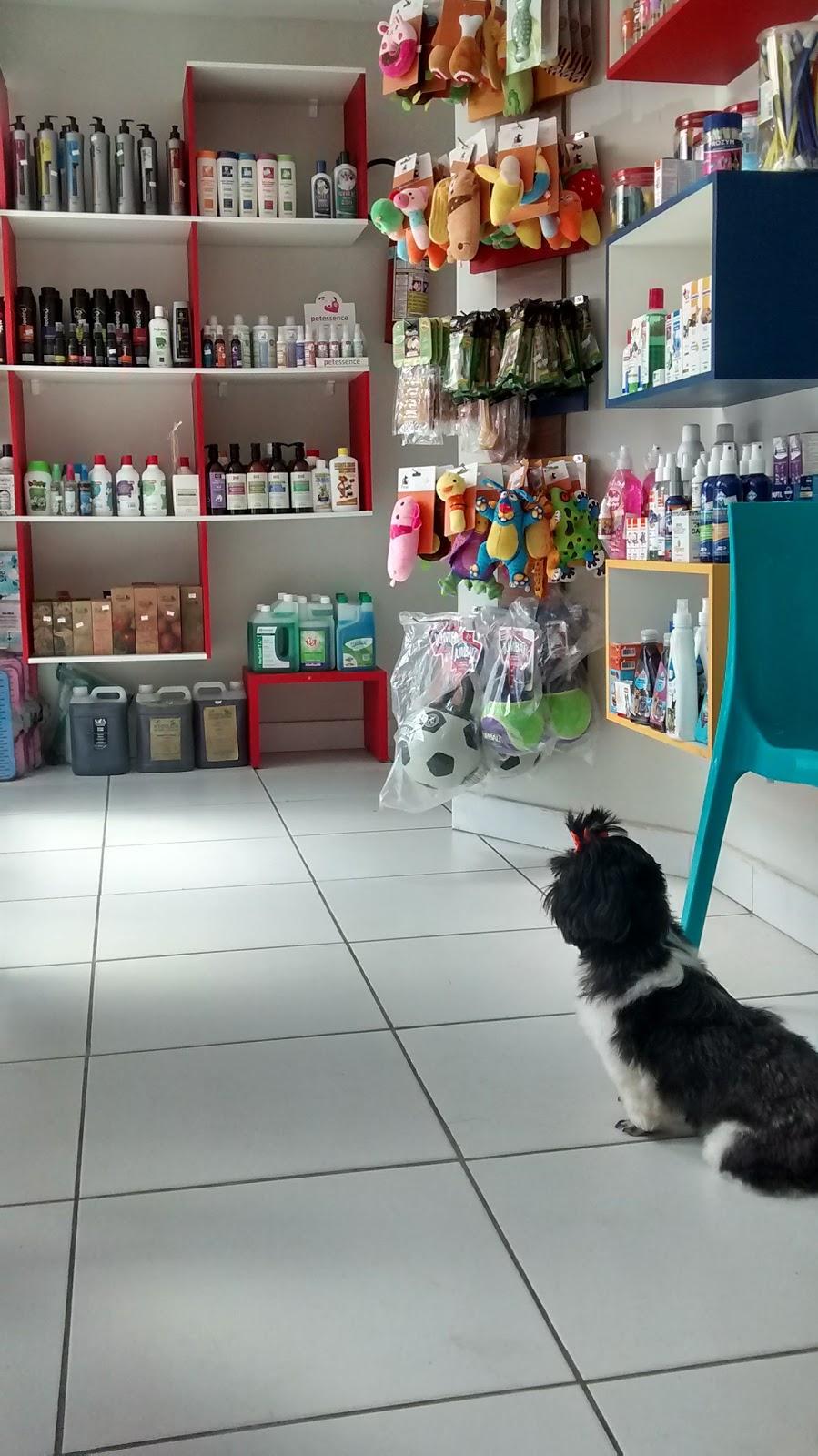 Pet Shop Hobby Bichos