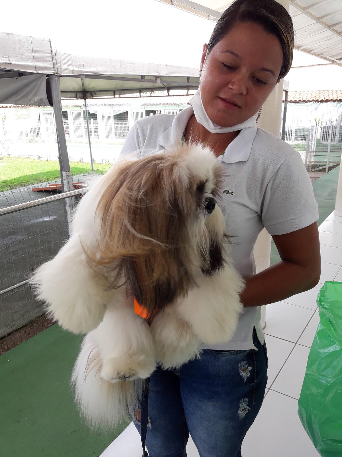 Spa Pet - Foto 5