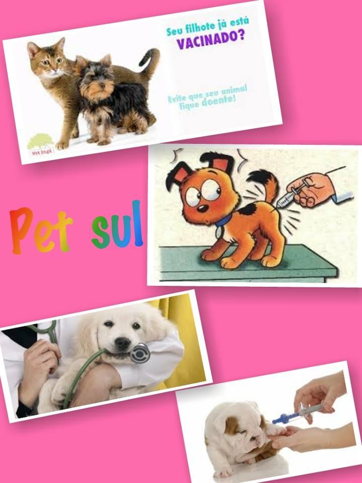 Petsul - Foto 4